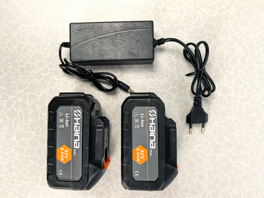 Fierastrau cu lant cu acumulator Haina – 2 baterii incluse